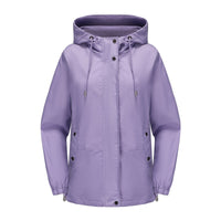 Lavendel Lila